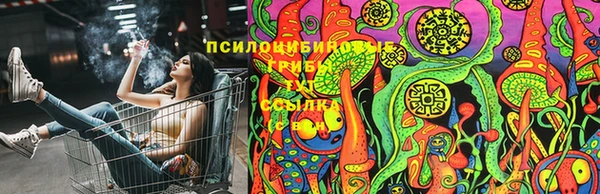 кокс Магас