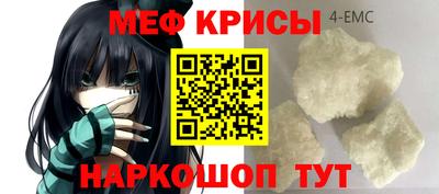 шишки Аргун