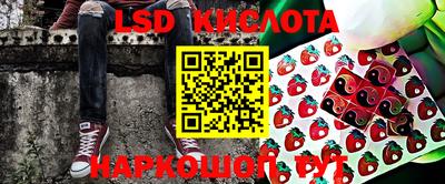 шишки Аргун