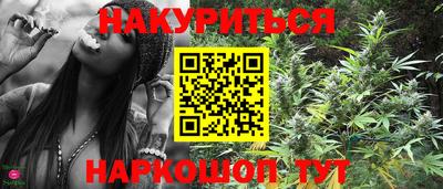 гашишное масло Берёзовский