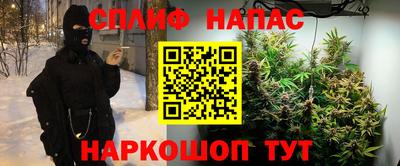 шишки Аргун