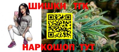 шишки Аргун