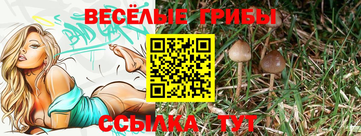 Батайск  Галлюциногенные грибы Cubensis  магазин  наркотиков  Вход с VPN 