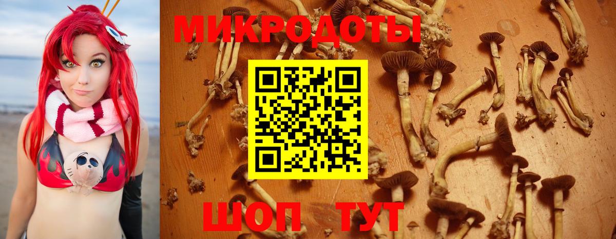 Галлюциногенные грибы Psilocybine cubensis Батайск